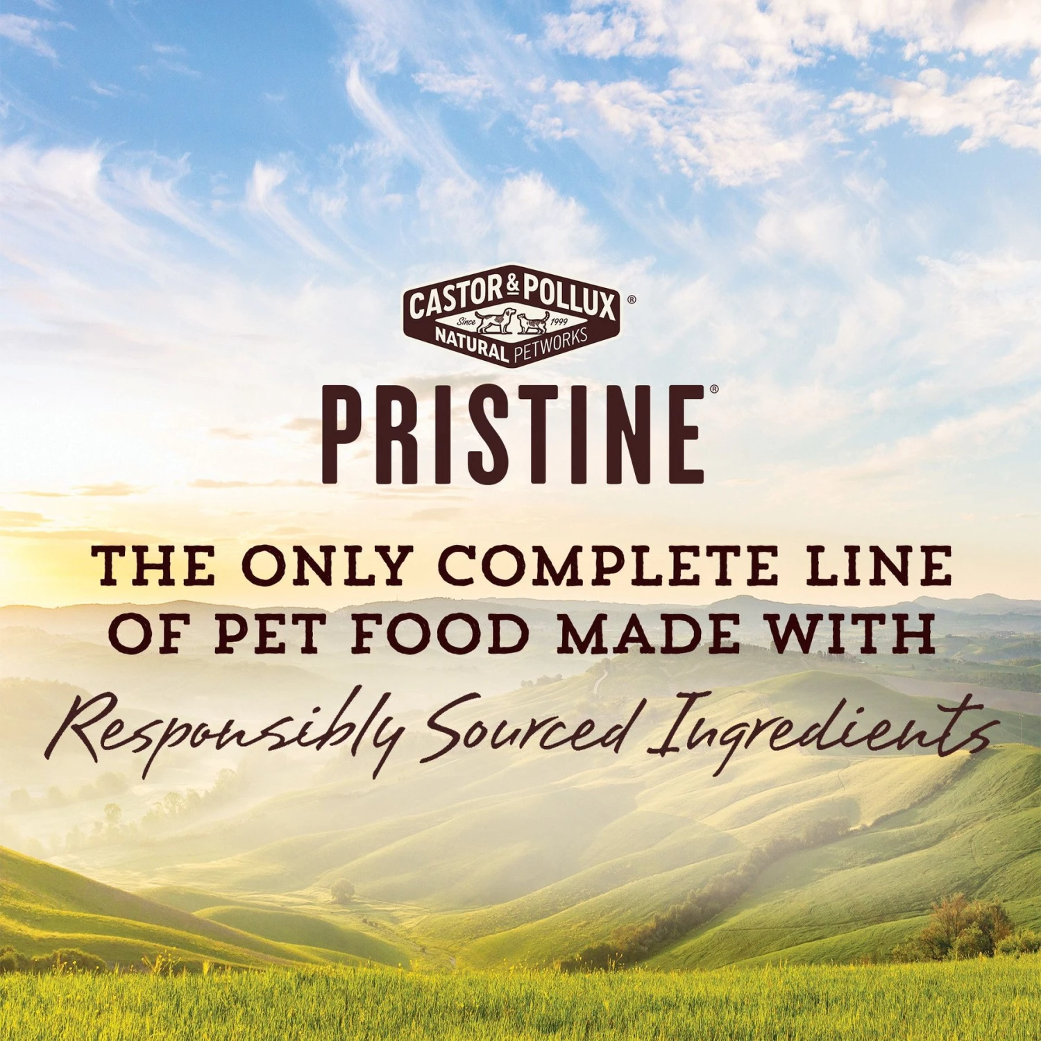 Castor & Pollux PRISTINE Grain-Free Wild-Caught Salmon Recipe Pate Canned Cat Food 5 Castor & Pollux PRISTINE Grain-Free Wild-Caught Salmon Recipe Pate Canned Cat Food - Image 3