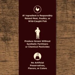 Castor & Pollux PRISTINE Grain-Free Wild-Caught Salmon Recipe Pate Canned Cat Food 13 Castor & Pollux PRISTINE Grain-Free Wild-Caught Salmon Recipe Pate Canned Cat Food -Furry Friends 141130 PT3. AC SS1800 V1702939231