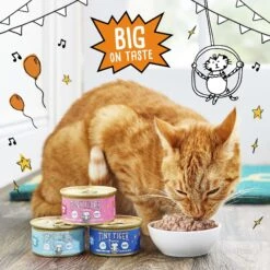 Tiny Tiger Pate Seafood Recipe Grain-Free Canned Cat Food -Furry Friends 141879 PT4. AC SS1800 V1687284094