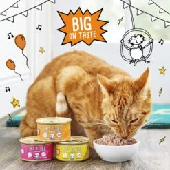 Tiny Tiger Pate Turkey & Giblets Recipe Grain-Free Canned Cat Food -Furry Friends 141881 PT4. AC SS1800 V1687286227
