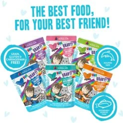 BFF OMG Potluck O' Pouches Variety Pack Grain-Free Cat Food Pouches -Furry Friends 142307 PT4. AC SS1800 V1682627402