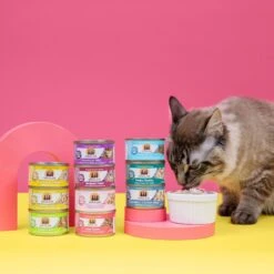 Weruva Classic Cat Food Variety Pack Wowzer Meowzer Wet Cat Food, 10-oz Can, 12 Count 18 Weruva Classic Cat Food Variety Pack Wowzer Meowzer Wet Cat Food, 10-oz Can, 12 Count -Furry Friends 142317 PT7. AC SS1800 V1691003236