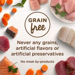 Rachael Ray Nutrish Purrfect Entrees Grain-Free Fin-Tastic Primavera With Yellowfin Tuna & Veggies In Savory Sauce Wet Cat Food -Furry Friends 142431 PT4. AC SS1800 V1535637164