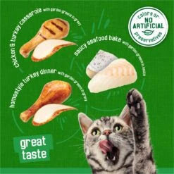 Friskies Indoor Variety Pack Canned Cat Food -Furry Friends 142571 PT2. AC SS1800 V1700159002