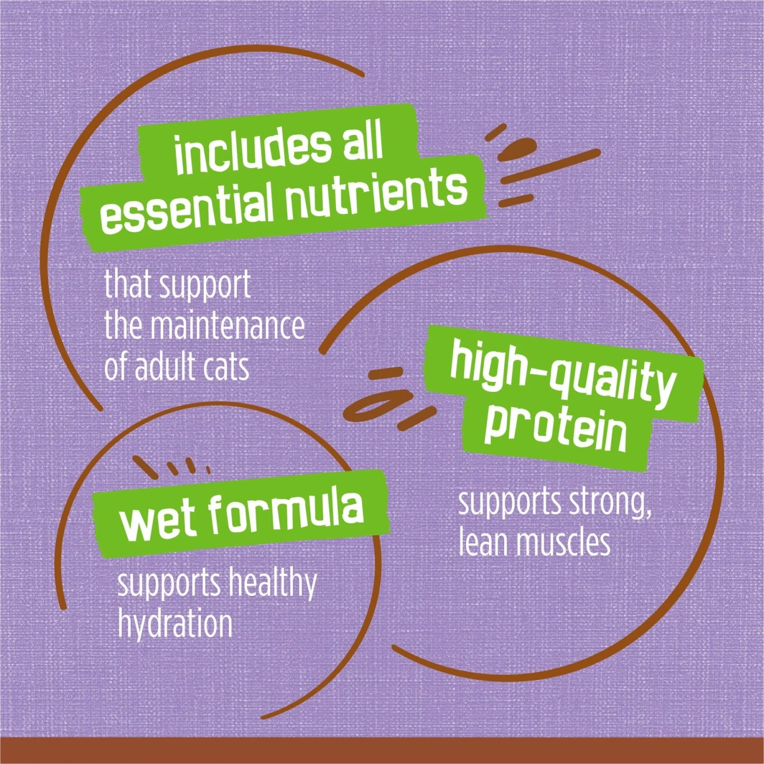 Friskies Extra Gravy Pate With Turkey In Savory Gravy Canned Cat Food 10 Friskies Extra Gravy Pate With Turkey In Savory Gravy Canned Cat Food - Image 8