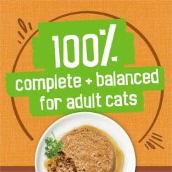 Friskies Extra Gravy Pate With Chicken In Savory Gravy Canned Cat Food -Furry Friends 142579 PT5. AC SS1800 V1699369727