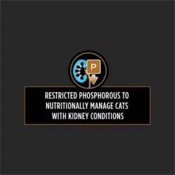 Purina Pro Plan Veterinary Diets NF Kidney Function Advanced Care Wet Cat Food -Furry Friends 142659 PT3. AC SS1800 V1700159060