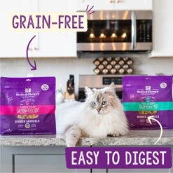 Stella & Chewy's Yummy Lickin' Salmon & Chicken Dinner Morsels Freeze-Dried Raw Cat Food -Furry Friends 143116 PT5. AC SS1800 V1522418675