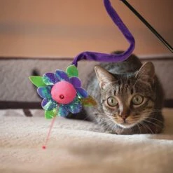 KONG Laser Teaser Cat Toy -Furry Friends 143207 PT2. AC SS1800 V1631762885