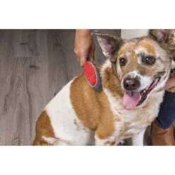 FURemover Duo Dual-Sided Grooming & Hair Removal Dog & Cat Brush, Color Varies -Furry Friends 143220 PT4. AC SS1800 V1520268502