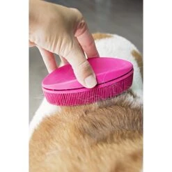 FURemover Pet Hair Removal & Lint Brush, Color Varies -Furry Friends 143222 PT4. AC SS1800 V1520268515