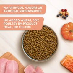 Rachael Ray Nutrish Inner Health Turkey With Chickpeas & Salmon Recipe Dry Cat Food 11 Rachael Ray Nutrish Inner Health Turkey With Chickpeas & Salmon Recipe Dry Cat Food -Furry Friends 143701 PT2. AC SS1800 V1692391566