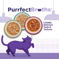 Rachael Ray Nutrish Purrfect Broths All Natural Grain-Free Variety Pack Cat Food Topper 16 Rachael Ray Nutrish Purrfect Broths All Natural Grain-Free Variety Pack Cat Food Topper -Furry Friends 143738 PT5. AC SS1800 V1657655546