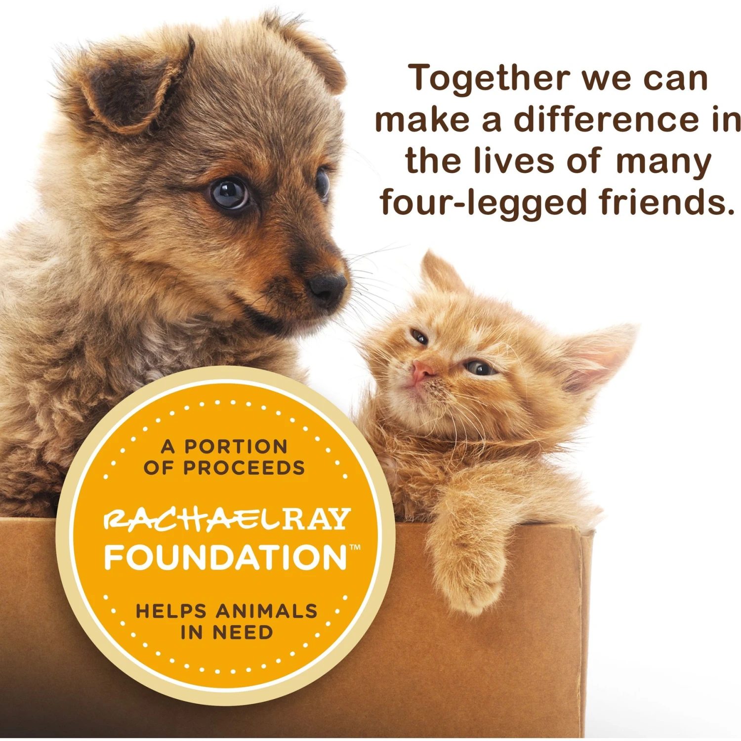 Rachael Ray Nutrish Purrfect Broths All Natural Grain-Free Variety Pack Cat Food Topper 9 Rachael Ray Nutrish Purrfect Broths All Natural Grain-Free Variety Pack Cat Food Topper - Image 7