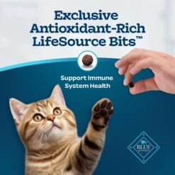 Blue Buffalo Tastefuls Natural Chicken Dry Kitten Food -Furry Friends 144079 PT6. AC SS1800 V1692646331