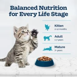 Blue Buffalo Tastefuls Natural Chicken Dry Kitten Food -Furry Friends 144079 PT7. AC SS1800 V1692642810