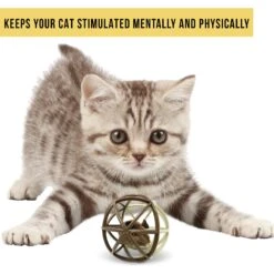 Pet Zone Ball Of Furry Fury Cat Toy With Catnip -Furry Friends 144159 PT4. AC SS1800 V1639090912