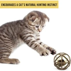 Pet Zone Ball Of Furry Fury Cat Toy With Catnip -Furry Friends 144159 PT5. AC SS1800 V1639092405