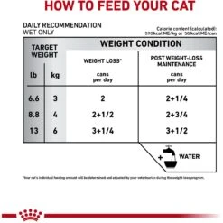 Royal Canin Veterinary Diet Adult Satiety Support Weight Management Thin Slices In Gravy Canned Cat Food -Furry Friends 144955 PT2. AC SS1800 V1641858127