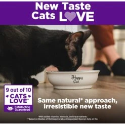 Wellness Complete Health Grain-Free Indoor Deboned Chicken Recipe Dry Cat Food -Furry Friends 145465 PT5. AC SS1800 V1636500442