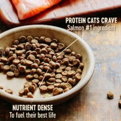 Wellness CORE Grain-Free Indoor Salmon & Herring Meal Recipe Dry Cat Food -Furry Friends 145511 PT2. AC SS1800 V1636554425