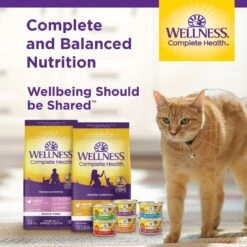 Wellness Complete Health Grain-Free Indoor Healthy Weight Chicken Recipe Natural Dry Cat Food 15 Wellness Complete Health Grain-Free Indoor Healthy Weight Chicken Recipe Natural Dry Cat Food -Furry Friends 145531 PT6. AC SS1800 V1636513623