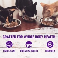 Wellness Healthy Indulgence Gravies Grain-Free Variety Pack Cat Food Pouches -Furry Friends 145533 PT2. AC SS1800 V1621984366