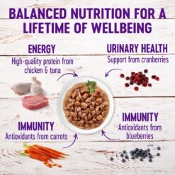 Wellness Healthy Indulgence Morsels Grain-Free Variety Pack Cat Food Pouches -Furry Friends 145537 PT3. AC SS1800 V1621986812