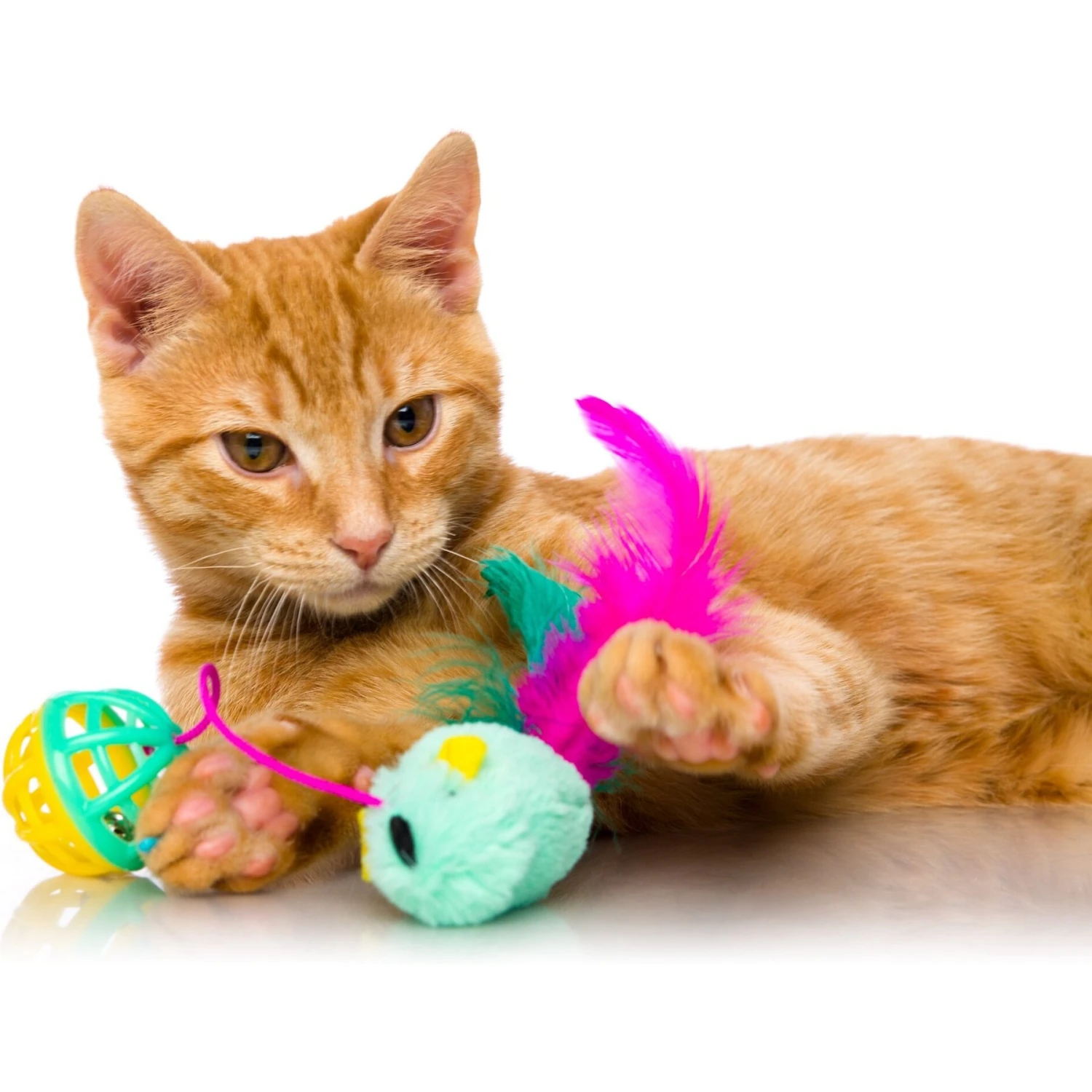 Hartz Just For Cats Super Hunters Cat Toy Variety Pack, 13 Count 5 Hartz Just For Cats Super Hunters Cat Toy Variety Pack, 13 Count - Image 3