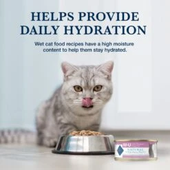 Blue Buffalo Natural Veterinary Diet W+U Weight Management + Urinary Care Grain-Free Wet Cat Food -Furry Friends 147688 PT6. AC SS1800 V1695083932