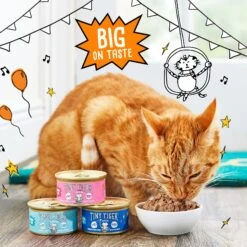 Tiny Tiger Chunks In EXTRA Gravy Salmon & Whitefish Recipe Grain-Free Canned Cat Food -Furry Friends 147774 PT4. AC SS1800 V1687284030