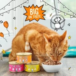 Tiny Tiger Chunks In EXTRA Gravy Beef Recipe Grain-Free Canned Cat Food -Furry Friends 147778 PT4. AC SS1800 V1687286171