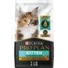 Purina Pro Plan Kitten Shredded Blend Chicken & Rice Formula Dry Cat Food -Furry Friends 147944 MAIN. AC SS1800 V1649130997