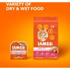 Iams ProActive Health Salmon Recipe Adult Dry Cat Food -Furry Friends 148007 PT8. AC SS1800 V1609949868