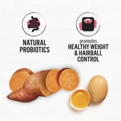 Purina Beyond Simply Indoor Wild-Caught Salmon, Egg & Sweet Potato Recipe Grain-Free Dry Cat Food 15 Purina Beyond Simply Indoor Wild-Caught Salmon, Egg & Sweet Potato Recipe Grain-Free Dry Cat Food -Furry Friends 148008 PT4. AC SS1800 V1700159218