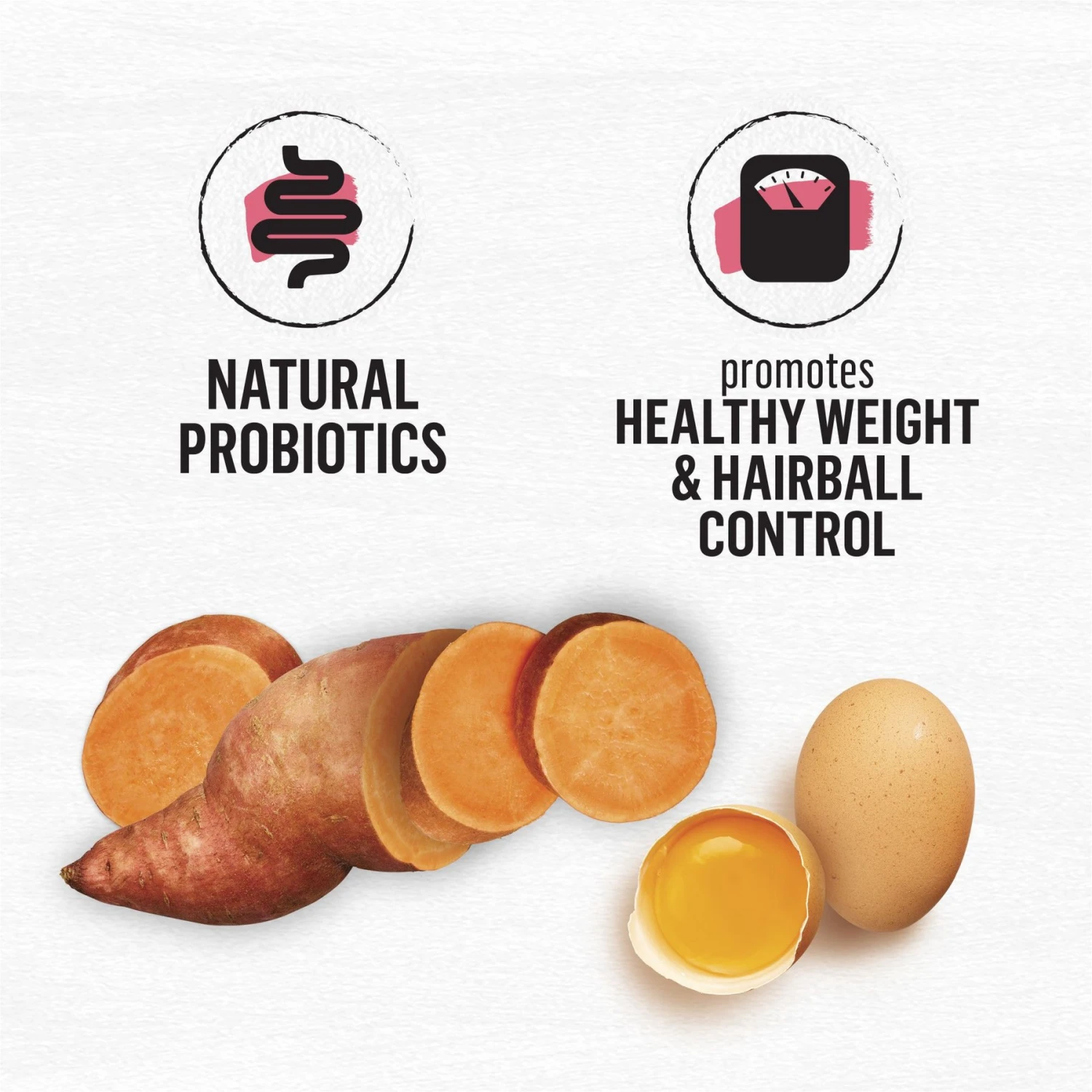 Purina Beyond Simply Indoor Wild-Caught Salmon, Egg & Sweet Potato Recipe Grain-Free Dry Cat Food 7 Purina Beyond Simply Indoor Wild-Caught Salmon, Egg & Sweet Potato Recipe Grain-Free Dry Cat Food - Image 5