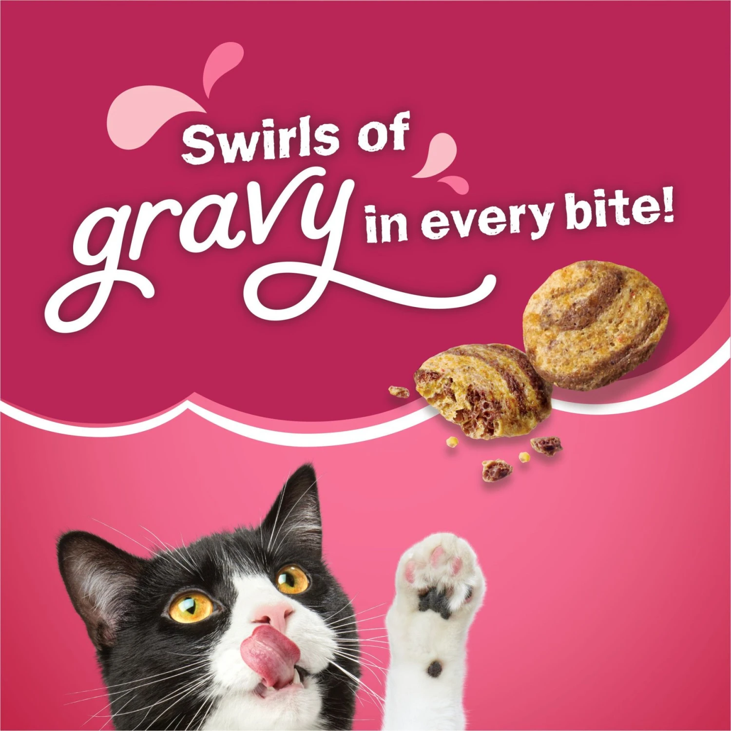 Friskies Gravy Swirlers Chicken & Salmon Flavor Dry Cat Food 6 Friskies Gravy Swirlers Chicken & Salmon Flavor Dry Cat Food - Image 4