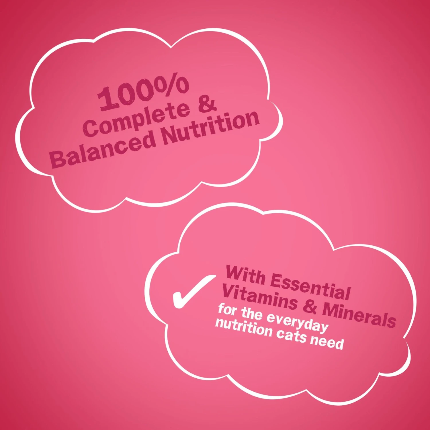 Friskies Gravy Swirlers Chicken & Salmon Flavor Dry Cat Food 10 Friskies Gravy Swirlers Chicken & Salmon Flavor Dry Cat Food - Image 8