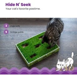 Catstages Grass Patch Hunting Box Cat Scratcher Toy -Furry Friends 148104 PT3. AC SS1800 V1631683023
