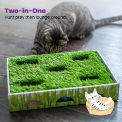 Catstages Grass Patch Hunting Box Cat Scratcher Toy -Furry Friends 148104 PT5. AC SS1800 V1631689013