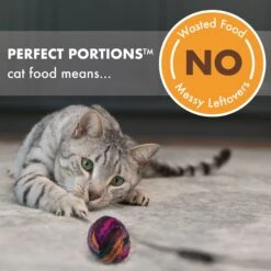 Nutro Perfect Portions Grain-Free Cuts In Gravy Variety Pack Beef, Tuna & Chicken Recipe Adult Wet Cat Food Trays 14 Nutro Perfect Portions Grain-Free Cuts In Gravy Variety Pack Beef, Tuna & Chicken Recipe Adult Wet Cat Food Trays -Furry Friends 148862 PT3. AC SS1800 V1702678349