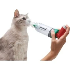 Trudell Medical International AeroKat Cat Asthma Aerosol Chamber 12 Trudell Medical International AeroKat Cat Asthma Aerosol Chamber -Furry Friends 149127 PT2. AC SS1800 V1526935015