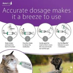 Trudell Medical International AeroKat Cat Asthma Aerosol Chamber 14 Trudell Medical International AeroKat Cat Asthma Aerosol Chamber -Furry Friends 149127 PT4. AC SS1800 V1526932315