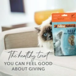Feline Natural Lamb Healthy Bites Grain-Free Freeze-Dried Cat Treats, 1.76-oz Bag 14 Feline Natural Lamb Healthy Bites Grain-Free Freeze-Dried Cat Treats, 1.76-oz Bag -Furry Friends 149474 PT3. AC SS1800 V1692971829