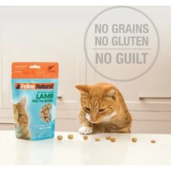 Feline Natural Chicken Healthy Bites Grain-Free Freeze-Dried Cat Treats, 1.76-oz Bag -Furry Friends 149478 PT4. AC SS1800 V1693237202