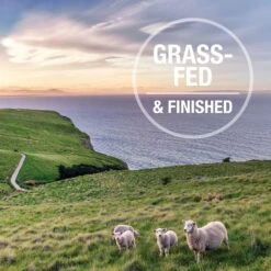 Feline Natural Chicken Healthy Bites Grain-Free Freeze-Dried Cat Treats, 1.76-oz Bag -Furry Friends 149478 PT7. AC SS1800 V1693237147