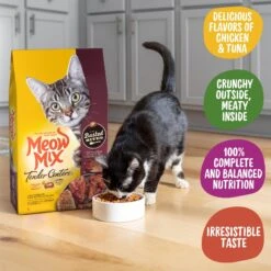 Meow Mix Tender Centers Basted Bites Chicken & Tuna Flavor Dry Cat Food -Furry Friends 149745 PT2. AC SS1800 V1661377440