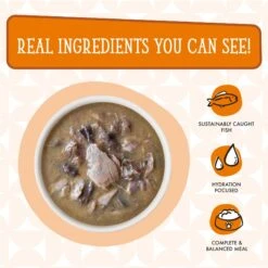 Weruva Cats In The Kitchen Pumpkin Jack Splash Tuna In Pumpkin Soup Grain-Free Cat Food Pouches -Furry Friends 149774 PT4. AC SS1800 V1700860100