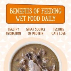 Weruva Cats In The Kitchen Pumpkin Jack Splash Tuna In Pumpkin Soup Grain-Free Cat Food Pouches -Furry Friends 149774 PT6. AC SS1800 V1700860105
