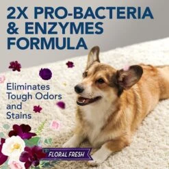 Simple Solution Pet Stain & Odor Remover With Pro-Bacteria & Enzyme Formula 13 Simple Solution Pet Stain & Odor Remover With Pro-Bacteria & Enzyme Formula -Furry Friends 149951 PT3. AC SS1800 V1588188365